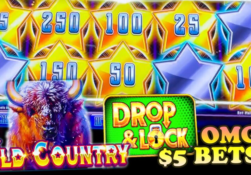 Drop N Lock Wild Country Slots
